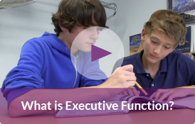 SMARTS Overview Video: What is Executive Function?